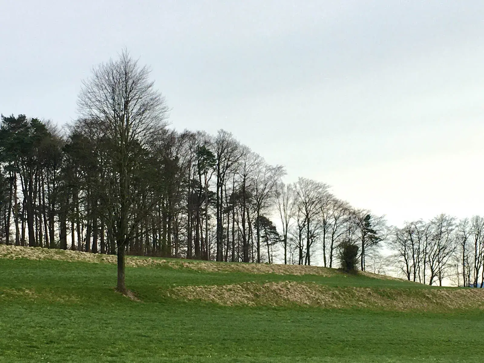 Als Kanonenkugeln über Höngg und Wipkingen flogen