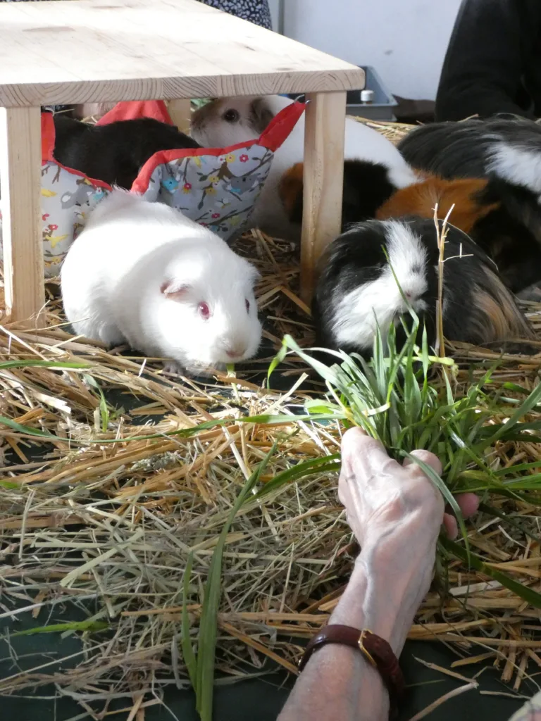 «Tiere öffnen das Herz»