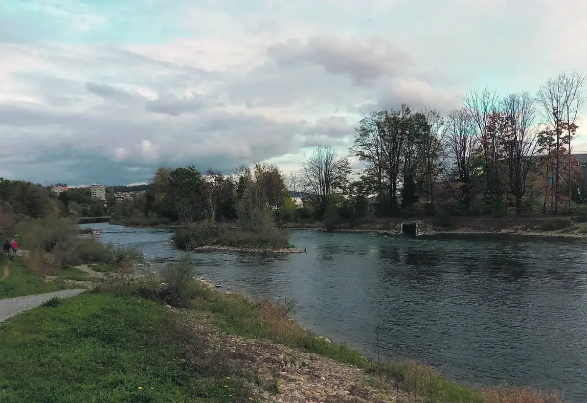 Auf dem Wasservogelpfad