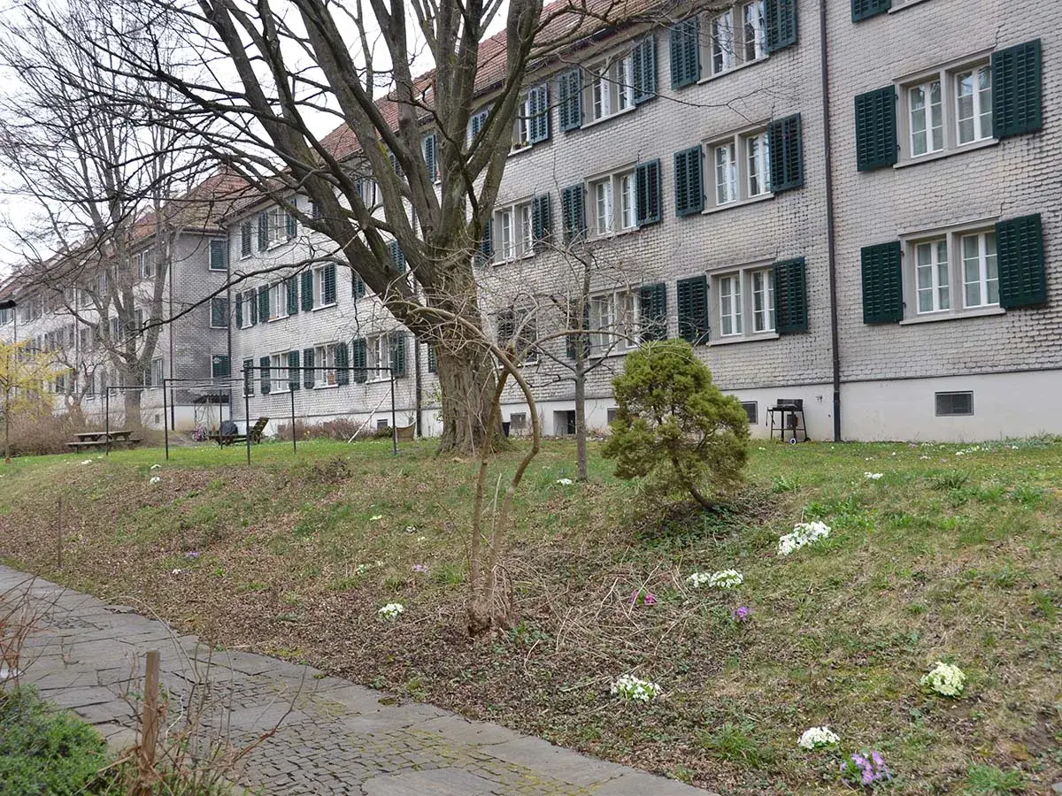 Instandsetzung der Fenster in der Wohnsiedlung Nordstrasse in Wipkingen