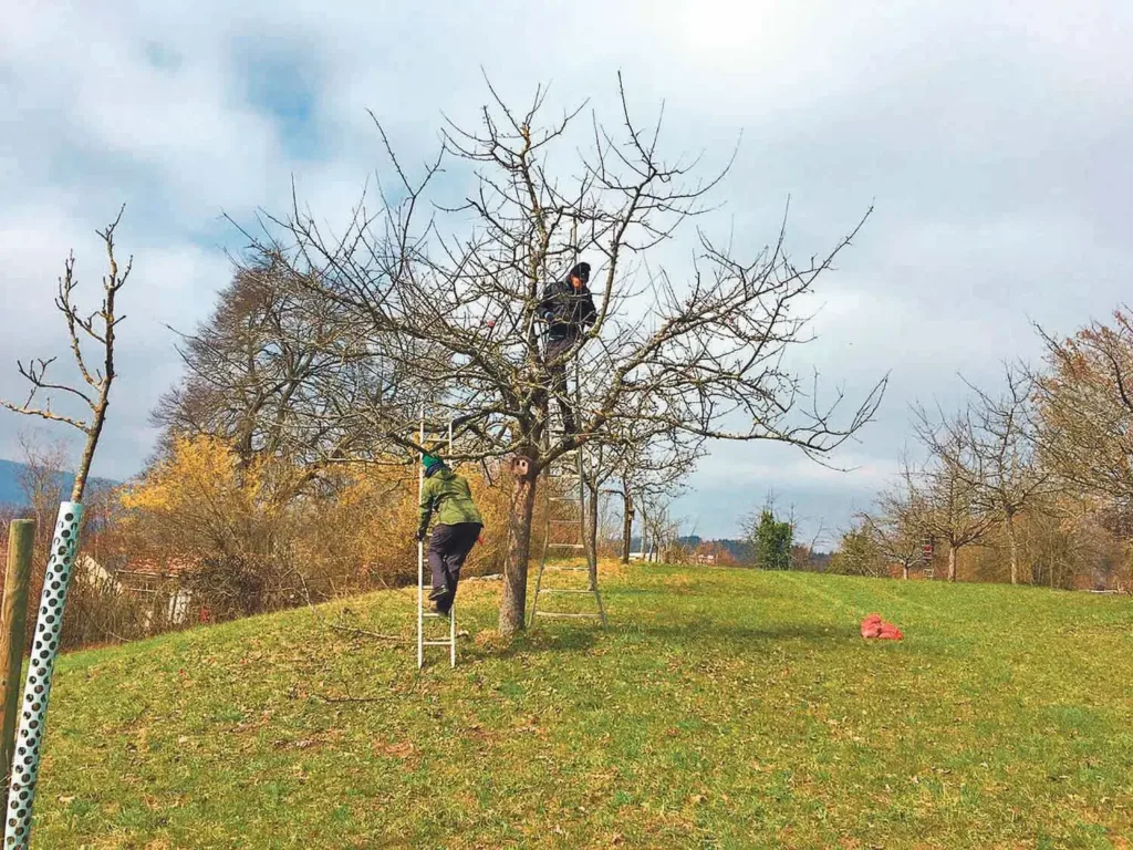 Natur- und Vogelschutzverein Höngg: Anpacken im Frühling