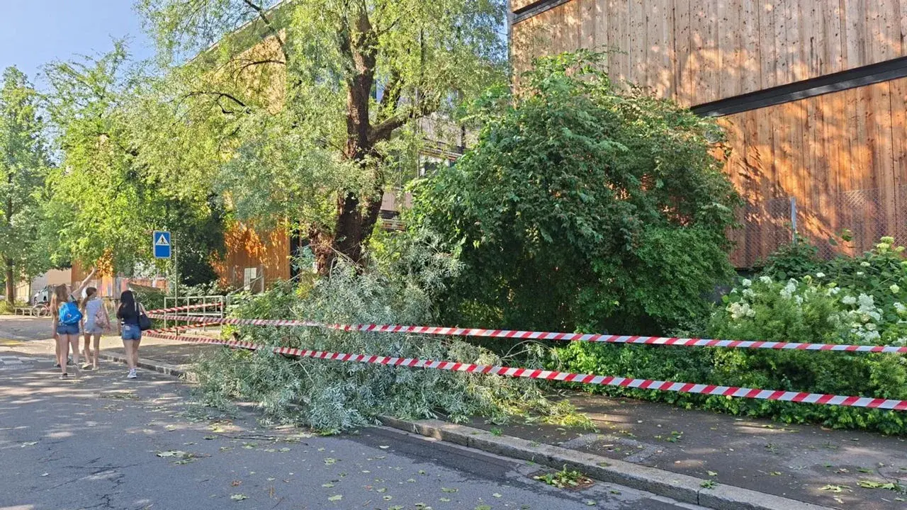 Zahlreiche Bäume vom Sturm beschädigt: Absperrungen unbedingt beachten