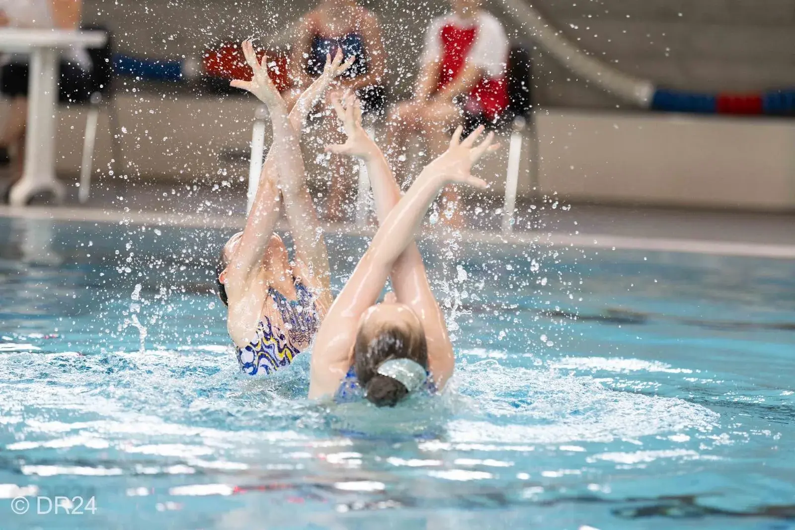 Artistic Swimming findet in Höngg statt