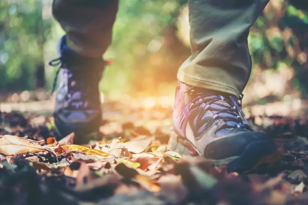 Höngger Wandergruppe 60plus: Wandern im Glarnerland